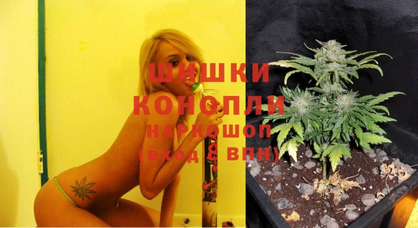 спайс Алзамай